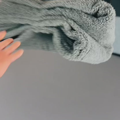 Bums Bundle™ - Die Wasserdichte Kuscheldecke + Liebeskissen + 2 spannende Ebooks